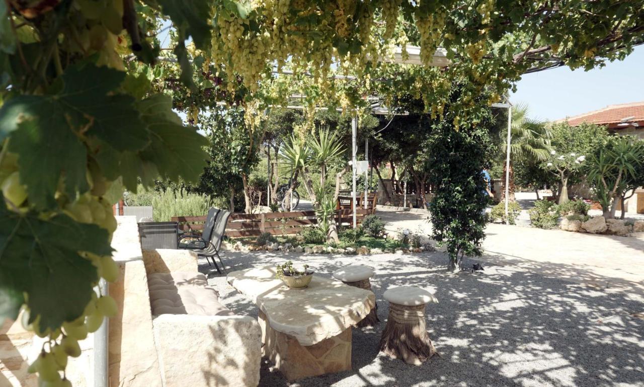 Studio Panagiota - Oasis Holiday Houses Kokkinos Pirgos Exteriör bild