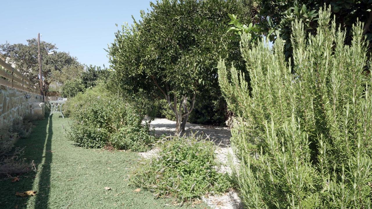 Studio Panagiota - Oasis Holiday Houses Kokkinos Pirgos Exteriör bild