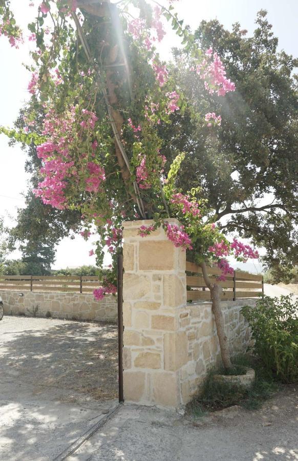 Studio Panagiota - Oasis Holiday Houses Kokkinos Pirgos Exteriör bild