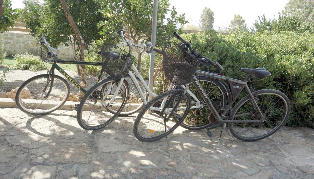 Studio Panagiota - Oasis Holiday Houses Kokkinos Pirgos Exteriör bild