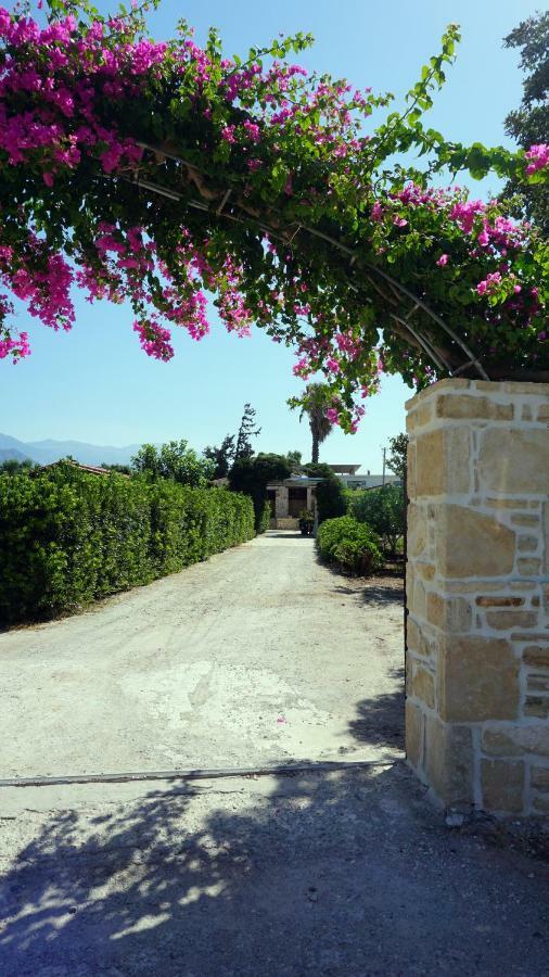 Studio Panagiota - Oasis Holiday Houses Kokkinos Pirgos Exteriör bild